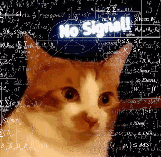 Kot Thinking GIF