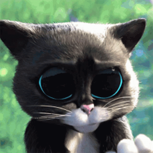 Kouni GIF
