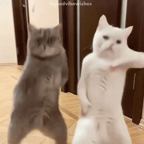 Kpop Dancing GIF