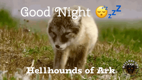 Krh Good Night Krh GIF
