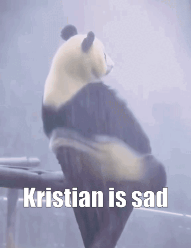 Kristian Sad GIF
