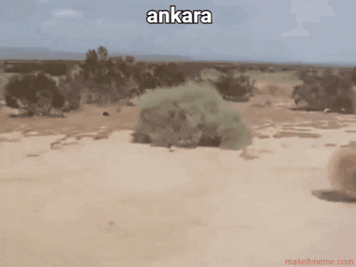 Ktg Ankara GIF