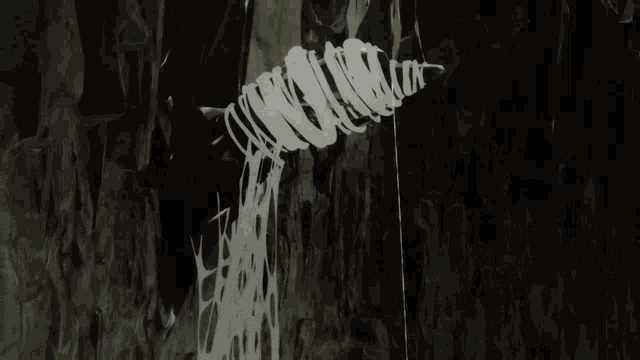 Kumo Desu Ga Nani Ka So Im A Spider So What GIF