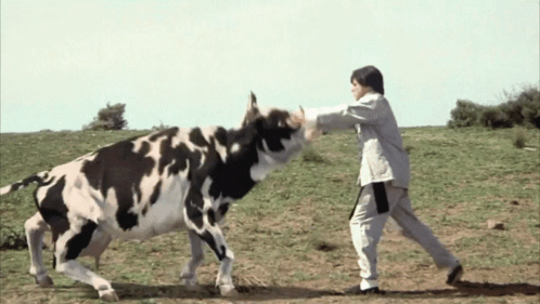 Kung Pow Chosen One GIF
