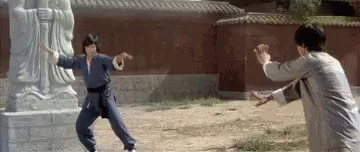 Kung Pow Enter The Fist GIF