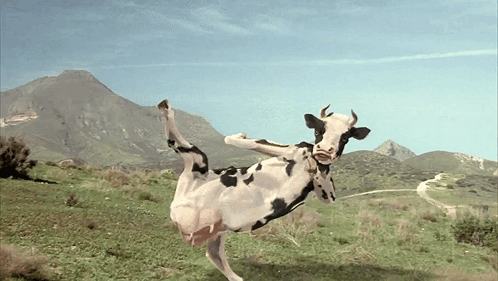 Kung Pow Enter The Fist Moo Nieu GIF