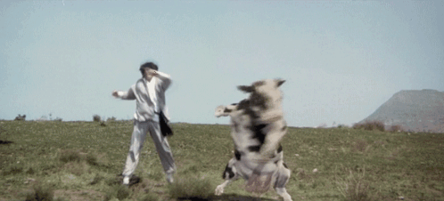 Kung Pow Kung Pow Enter The Fist GIF