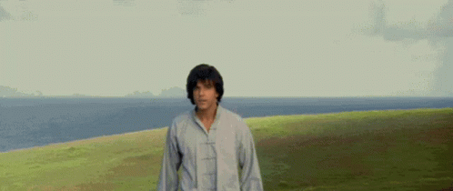 Kung Pow GIF