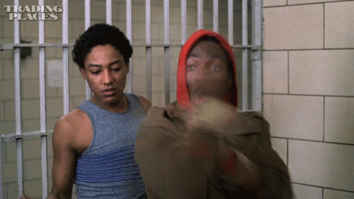 Kungfu Billy Ray Valentine GIF. This 498 x 280 animated GIF is part of our merry new year trading places collection. Created by TradingPlaces. View the…