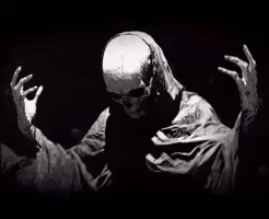 Kuru Kafa GIF