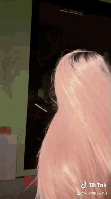 Kuwaii Tv Kuwaii GIF