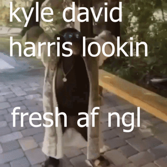 Kyle David GIF