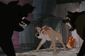 Lady And The Tramp Feisty GIF. This 350 x 233 animated GIF is part of our lady and the tramp siamese cats collection. Created by Vendisok. View the original…