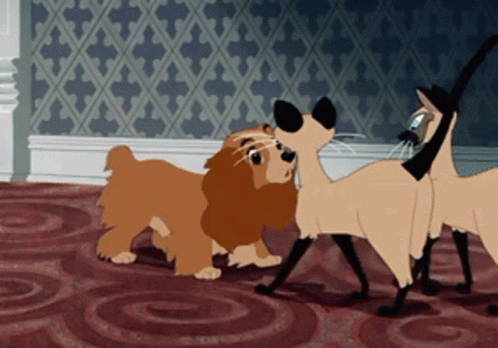 Lady And The Tramp Siamese Cat GIF. This 498 x 348 animated GIF is part of our lady and the tramp siamese cats collection. Created by BNY11. View the…