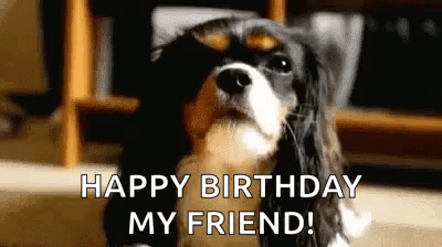 Lady Dogs GIF. This 400 x 224 animated GIF is part of our happy birthday puppy collection. Created by BarbB063. View the original animation, share it, or…