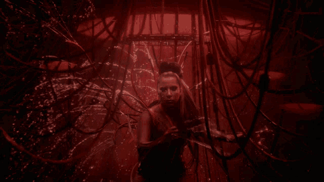 Lady Gaga Ariana Grande GIF