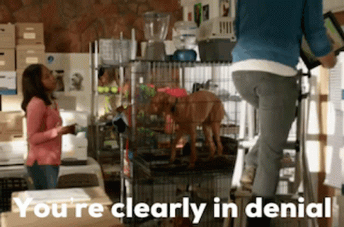 Lafb Kevinmcgarry GIF