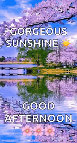 Lago Lake GIF