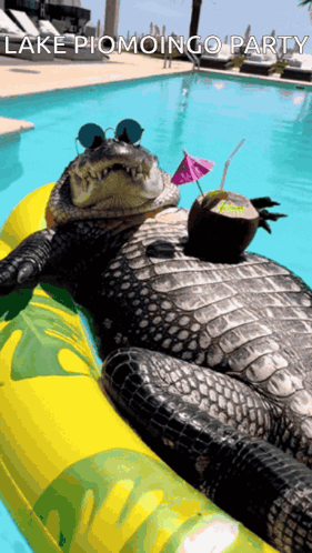 Lake Piomingo GIF