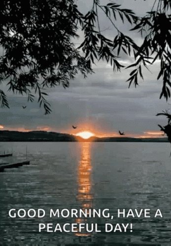 Lake Water GIF