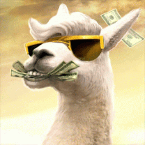 Lama Money GIF. This 498 x 498 animated GIF is part of our lama collection. Created by xpaper. View the original animation, share it, or browse related GIFs.