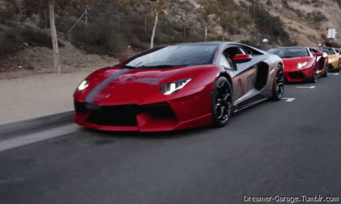 Lamborghini Cars GIF. This 498 x 298 animated GIF is part of our lamborghini logo collection. Related themes include car. Created by masoncarr2244. View the…