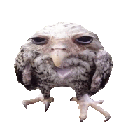 Lamont Bird Sticker