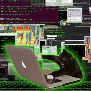 Laptop Hacking GIF. This 320 x 320 animated GIF is part of our hacker collection. Related themes include cat. Created by elitz. View the original animation…