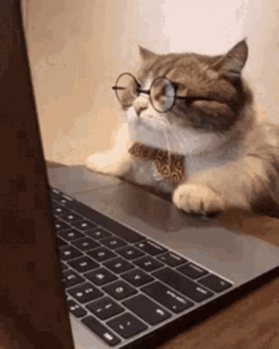 Laptop GIF
