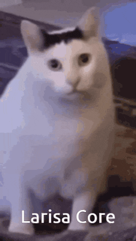 Larisa Core GIF