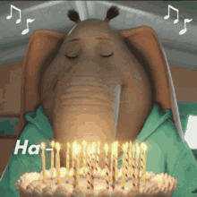 Larry GIF