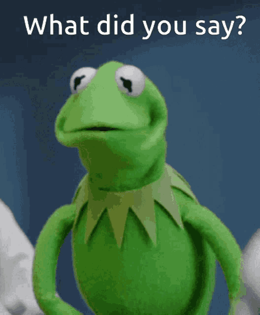 Last Day What Did You Say GIF