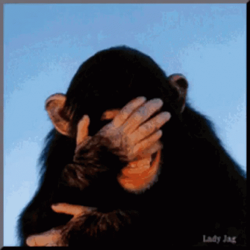 Laugh Lol GIF