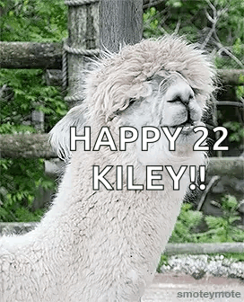 Laughing Llama GIF. This 272 x 336 animated GIF is part of our lama collection. Related themes include laughing. Created by johnnya33. View the original…