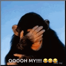 Laughing Lol GIF