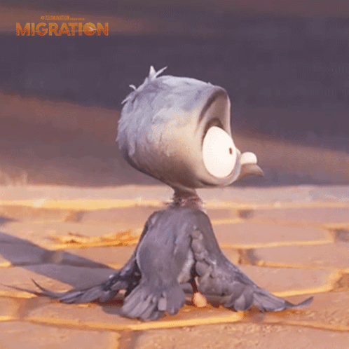 Laughing Pigeon GIF