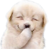 Laughing Sticker