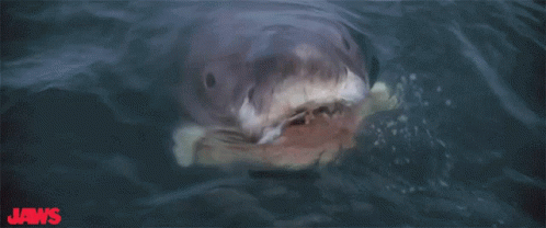 Launch Attack Boat GIF