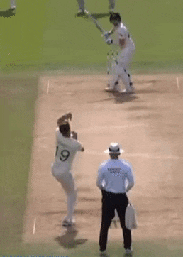 Lbw Funny Steve Smith GIF