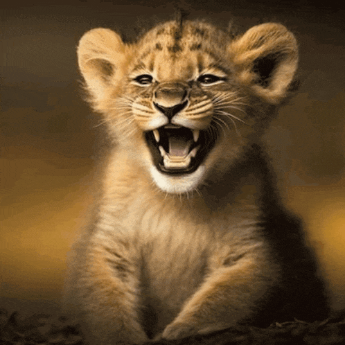 Le Sserafim Antifragile GIF
