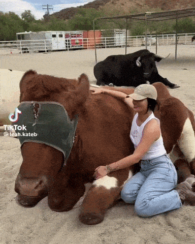 Leah Leah Kateb GIF