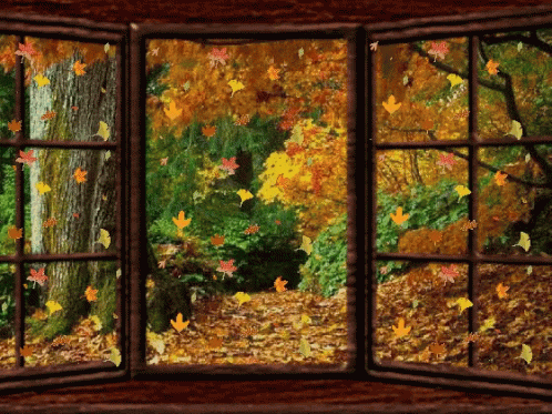 Leaves Autumn GIF
