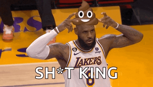 Lebron James Lakers GIF