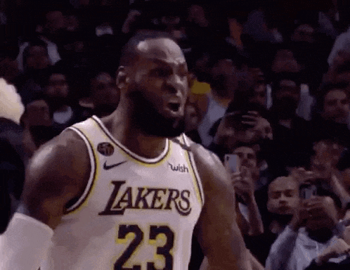 Lebron James Lakers GIF