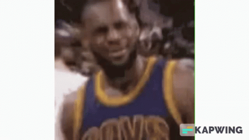Lebron James GIF