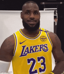 Lebron James Shocked Face GIF