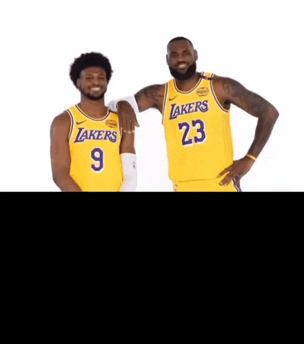 Lebron James GIF