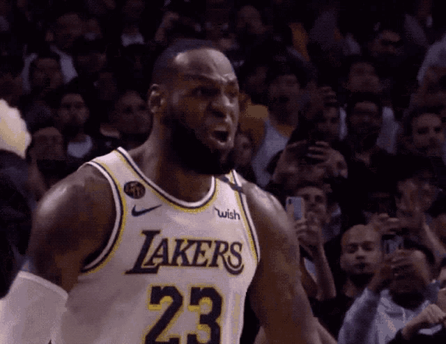 Lebron Lebron James GIF