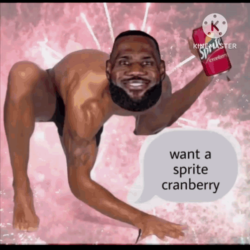 Lebron Lebron James GIF