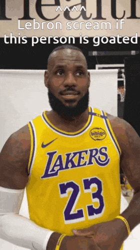 Lebron GIF